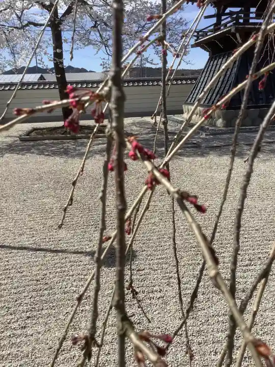 長蔵寺(岐阜県)