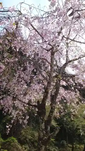 久遠寺(山梨県)
