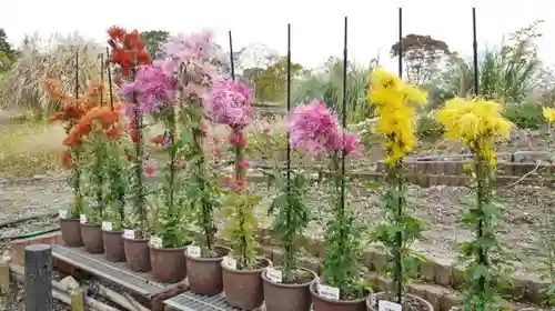半木神社（賀茂別雷神社境外末社）の庭園