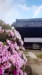 菩提寺の建物その他