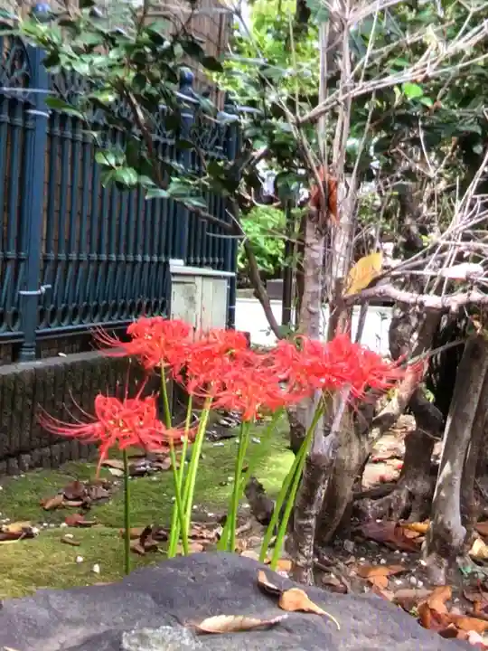 桜神宮(東京都)