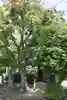 水神社と地蔵尊(奈良県)