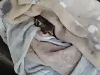 感応寺(東京都)