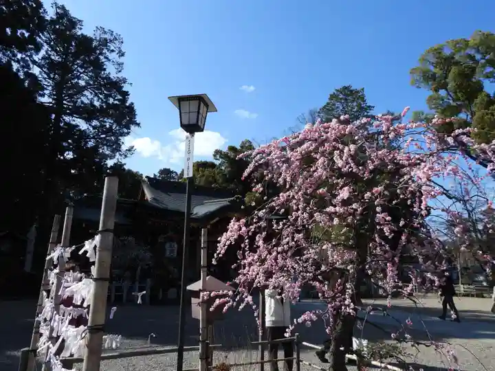 長岡天満宮(京都府)
