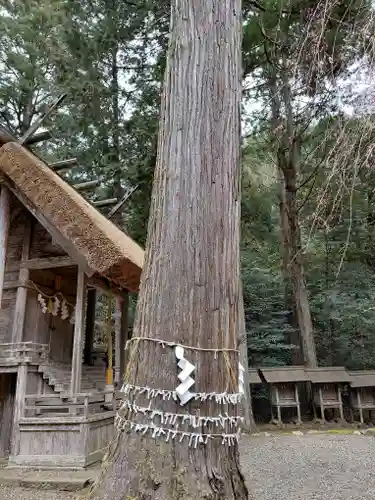 元伊勢内宮 皇大神社(京都府)