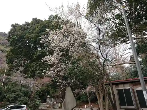 高來神社のその他建物