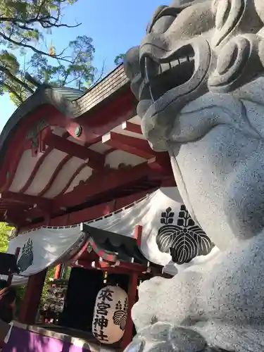 來宮神社の狛犬