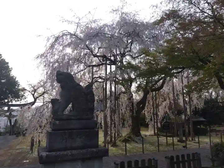 足羽神社(福井県)