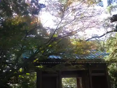 高徳院の山門・神門