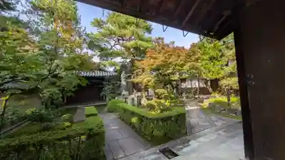 靈雲院(京都府)