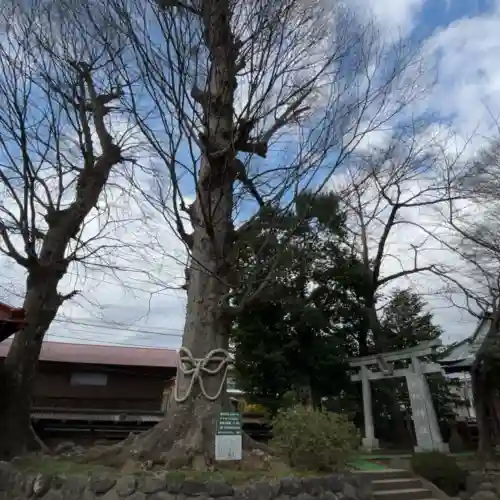 出雲大社相模分祠の{uncategorized: "未分類", other: "その他", undefined: "問題あり", building: "その他建物", grave: "お墓", sacred_gate: "鳥居", guardian: "狛犬", statue: "像", buddha: "仏像", history: "歴史", nature: "自然", garden: "庭園", animal: "動物", pagoda: "塔", temizu: "手水舎", mountain_gate: "山門・神門", sanctuary: "本殿・本堂", subordinate: "末社・摂社", art: "芸術", scenery: "景色", jizo: "地蔵", ema: "絵馬", goshuin: "御朱印", omikuji: "おみくじ", items: "授与品その他", amulet: "お守り", goshuincho: "御朱印帳", eats: "食事", festival: "お祭り", votive_dance: "神楽", shichigosan: "七五三参", wedding: "結婚式", experience: "体験その他", initially: "初詣", around: "周辺", anti_infection: "感染症対策"}