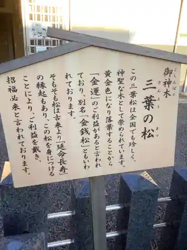 別小江神社(愛知県)