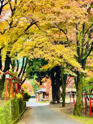 満願寺(栃木県)