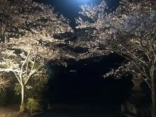 木舟山　順教寺の自然