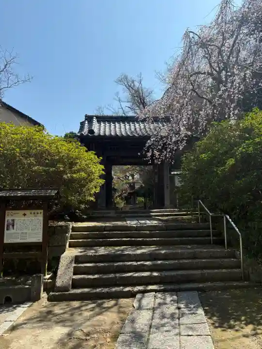 安國論寺(安国論寺)の{uncategorized: "未分類", other: "その他", undefined: "問題あり", building: "その他建物", grave: "お墓", sacred_gate: "鳥居", guardian: "狛犬", statue: "像", buddha: "仏像", history: "歴史", nature: "自然", garden: "庭園", animal: "動物", pagoda: "塔", temizu: "手水舎", mountain_gate: "山門・神門", sanctuary: "本殿・本堂", subordinate: "末社・摂社", art: "芸術", scenery: "景色", jizo: "地蔵", ema: "絵馬", goshuin: "御朱印", omikuji: "おみくじ", items: "授与品その他", amulet: "お守り", goshuincho: "御朱印帳", eats: "食事", festival: "お祭り", votive_dance: "神楽", shichigosan: "七五三参", wedding: "結婚式", experience: "体験その他", initially: "初詣", around: "周辺", anti_infection: "感染症対策"}