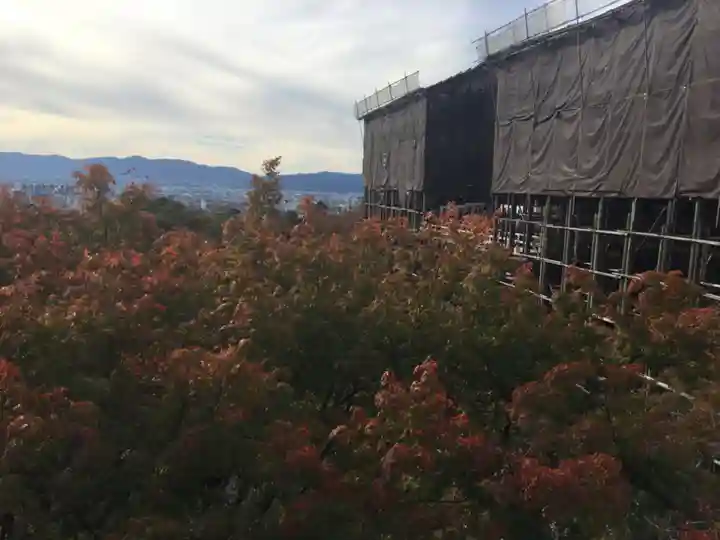 清水寺の本殿・本堂