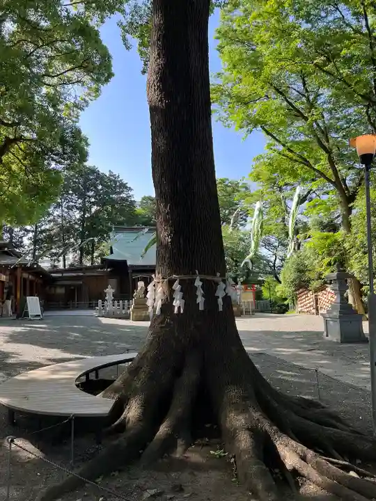 星川杉山神社(神奈川県)
