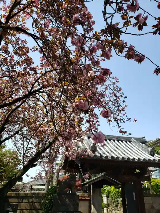 荘厳寺(東京都)