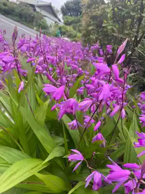 大生郷天満宮(茨城県)