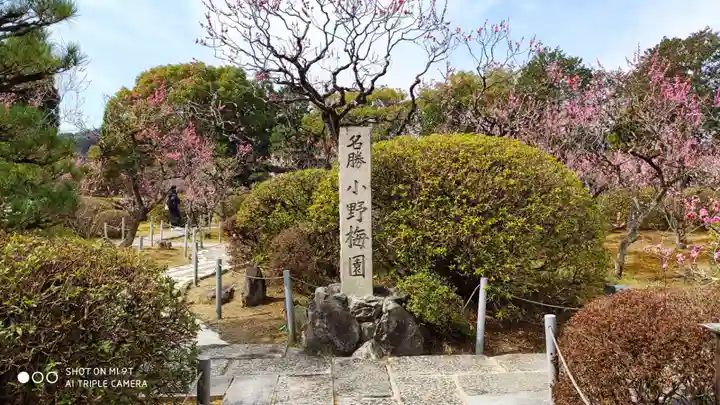 隨心院(随心院)の庭園