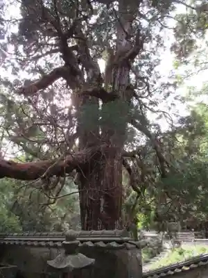 万松院(長崎県)