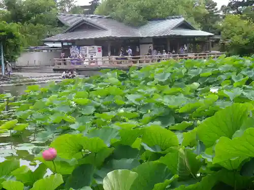 鶴岡八幡宮の庭園