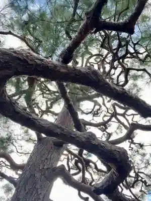 久昌院(京都府)