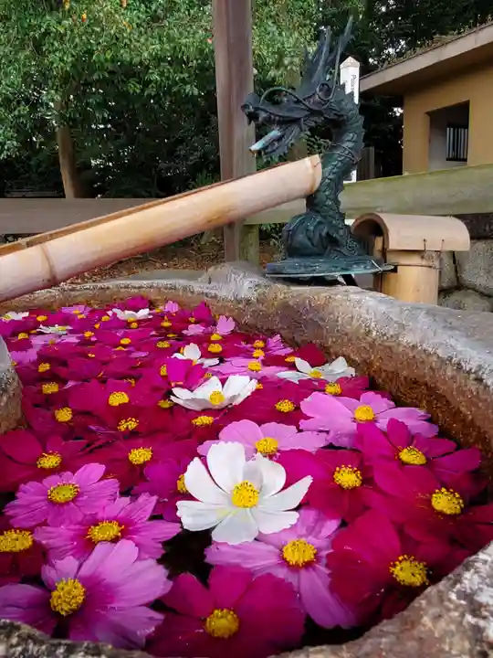 都波岐奈加等神社の手水舎