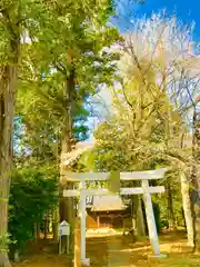 岡見八坂神社の鳥居