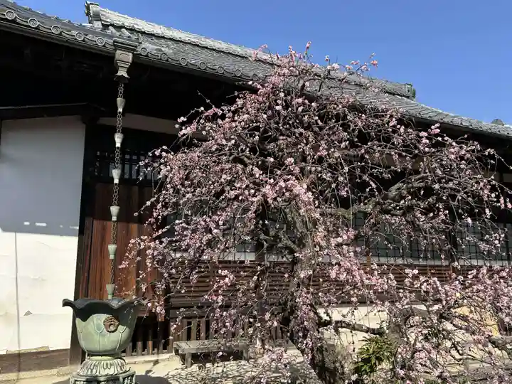 祐正寺(京都府)