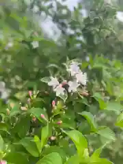 大生郷天満宮(茨城県)