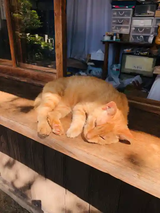 大江神社の動物