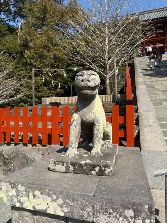 鶴岡八幡宮の狛犬
