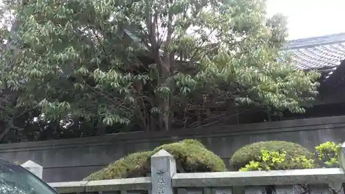 林神社(兵庫県)