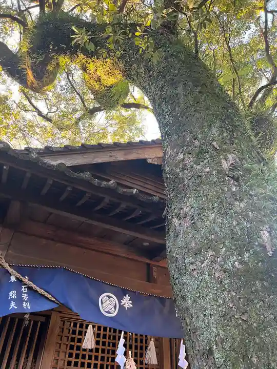 青井阿蘇神社(熊本県)