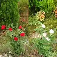 寿量山 速成寺の自然