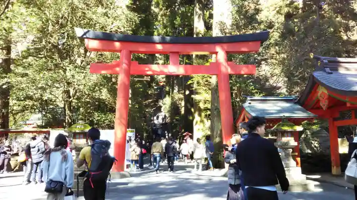 箱根神社の鳥居