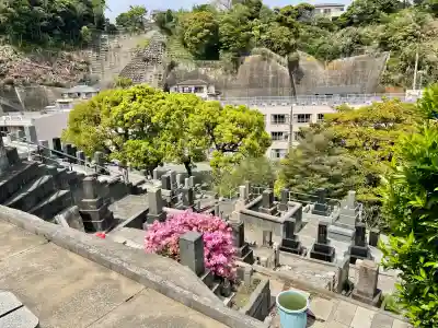 浄土寺の{uncategorized: "未分類", other: "その他", undefined: "問題あり", building: "その他建物", grave: "お墓", sacred_gate: "鳥居", guardian: "狛犬", statue: "像", buddha: "仏像", history: "歴史", nature: "自然", garden: "庭園", animal: "動物", pagoda: "塔", temizu: "手水舎", mountain_gate: "山門・神門", sanctuary: "本殿・本堂", subordinate: "末社・摂社", art: "芸術", scenery: "景色", jizo: "地蔵", ema: "絵馬", goshuin: "御朱印", omikuji: "おみくじ", items: "授与品その他", amulet: "お守り", goshuincho: "御朱印帳", eats: "食事", festival: "お祭り", votive_dance: "神楽", shichigosan: "七五三参", wedding: "結婚式", experience: "体験その他", initially: "初詣", around: "周辺", anti_infection: "感染症対策"}