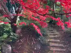 榮攝院（栄摂院）(京都府)