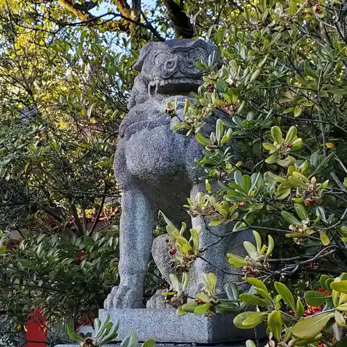 市原稲荷神社の狛犬