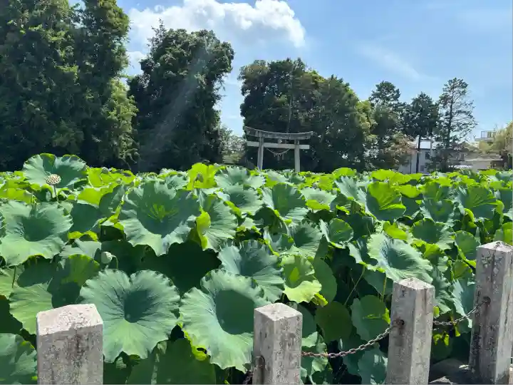 伊賀八幡宮(愛知県)