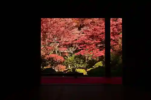 金剛輪寺(滋賀県)