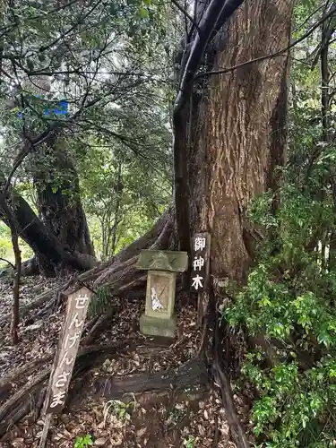 二宮神社(千葉県)