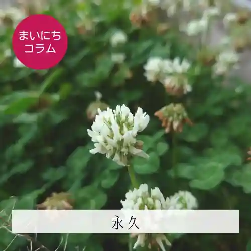 壽徳寺 じゅとくじ(福島県)