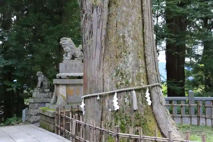 戸隠神社中社のその他建物
