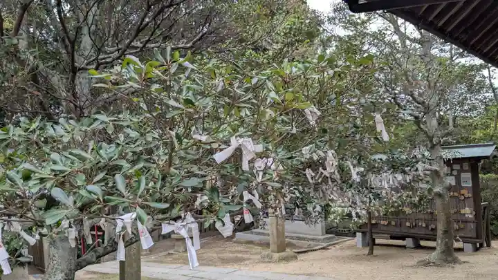 鹿島神社のおみくじ