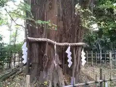 大國魂神社(東京都)