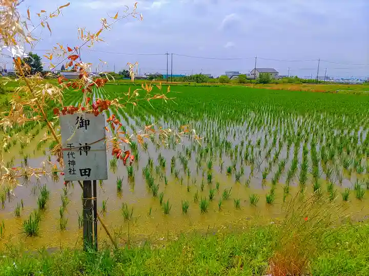 千代神社の自然