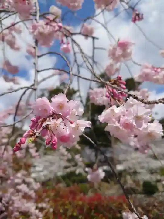 粉河寺の{uncategorized: "未分類", other: "その他", undefined: "問題あり", building: "その他建物", grave: "お墓", sacred_gate: "鳥居", guardian: "狛犬", statue: "像", buddha: "仏像", history: "歴史", nature: "自然", garden: "庭園", animal: "動物", pagoda: "塔", temizu: "手水舎", mountain_gate: "山門・神門", sanctuary: "本殿・本堂", subordinate: "末社・摂社", art: "芸術", scenery: "景色", jizo: "地蔵", ema: "絵馬", goshuin: "御朱印", omikuji: "おみくじ", items: "授与品その他", amulet: "お守り", goshuincho: "御朱印帳", eats: "食事", festival: "お祭り", votive_dance: "神楽", shichigosan: "七五三参", wedding: "結婚式", experience: "体験その他", initially: "初詣", around: "周辺", anti_infection: "感染症対策"}