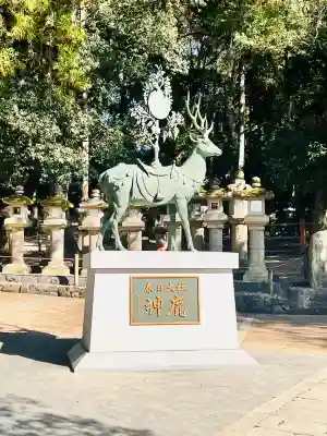 春日大社(奈良県)